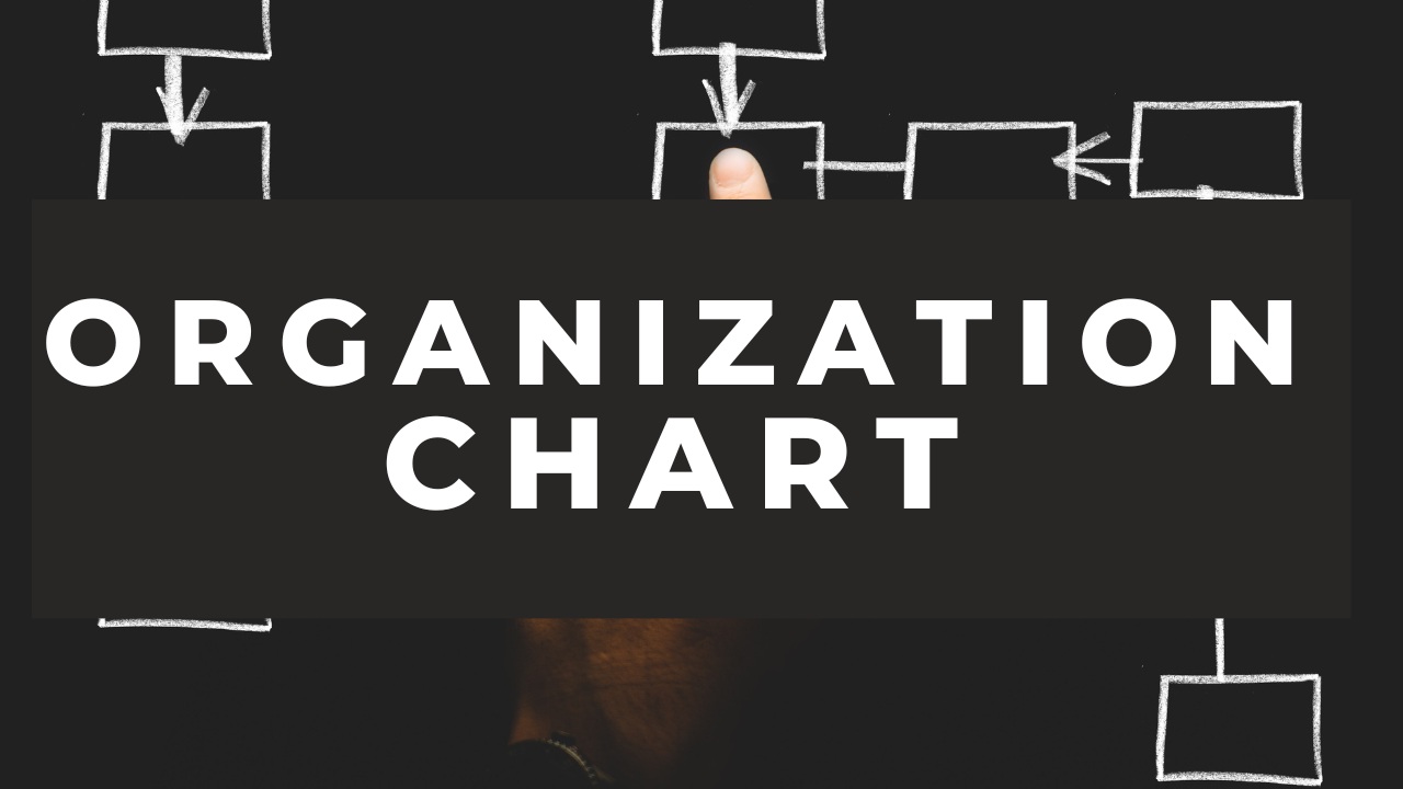 ORGANIZATION CHART
