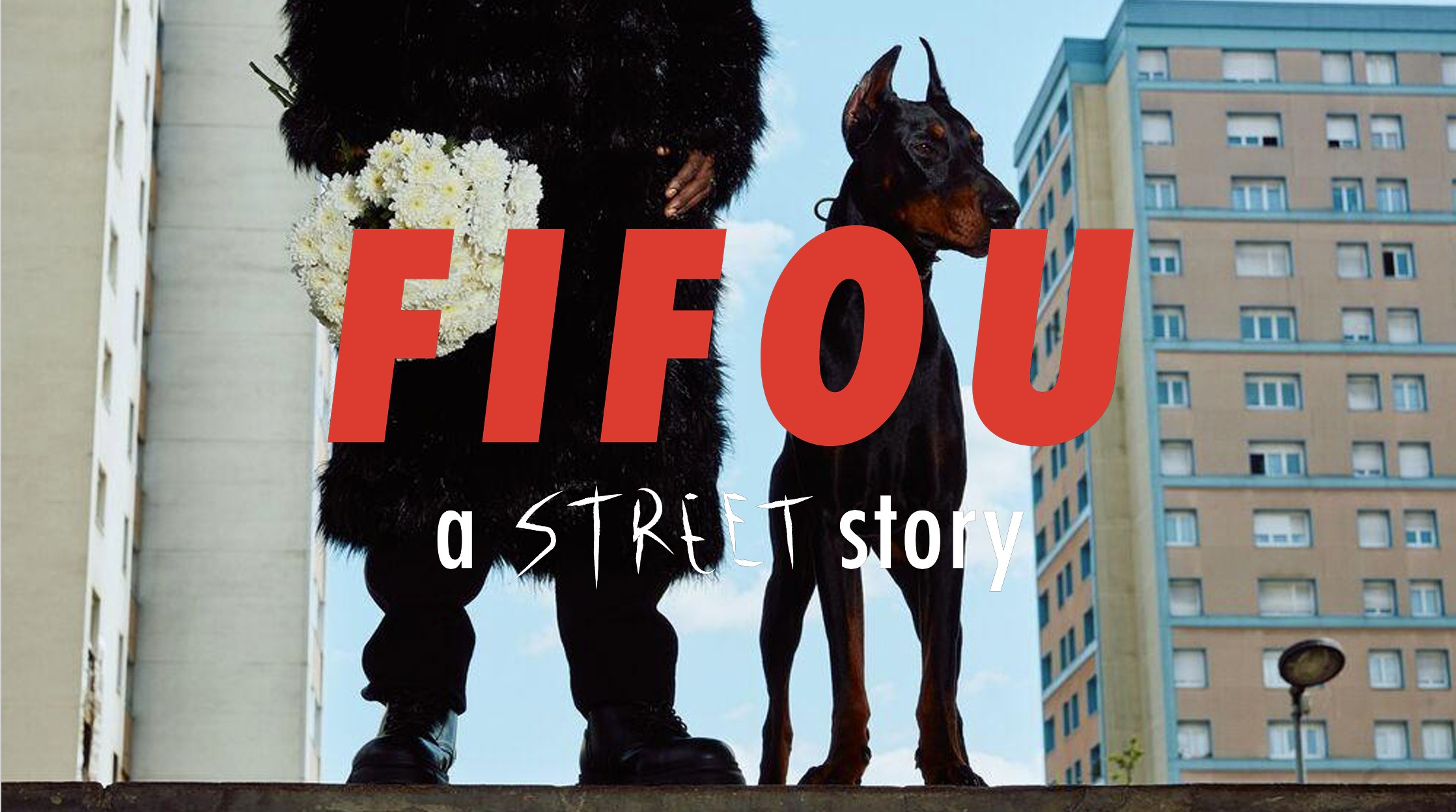 FIFOU: A STREET STORY